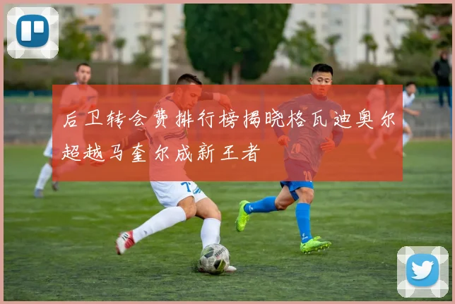 后卫转会费排行榜揭晓格瓦迪奥尔超越马奎尔成新王者