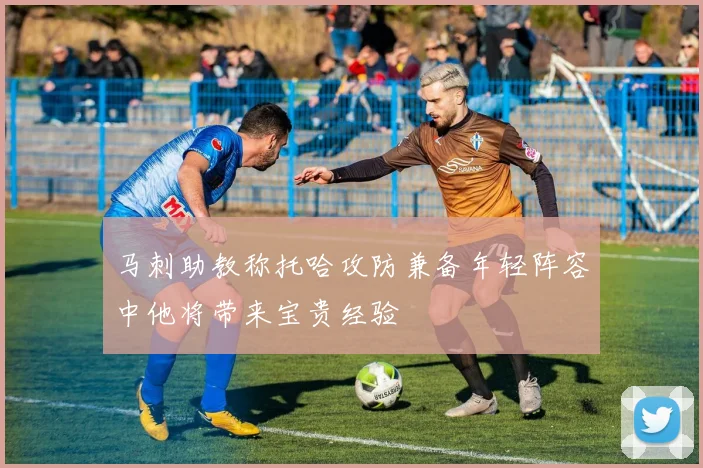 马刺助教称托哈攻防兼备年轻阵容中他将带来宝贵经验